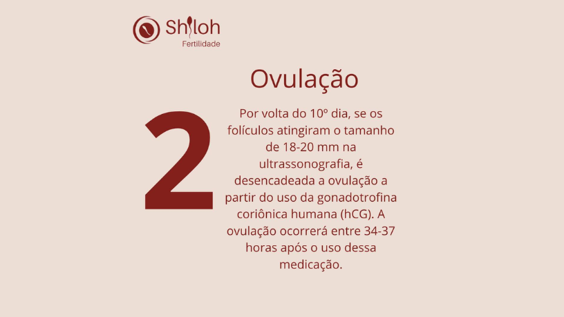 Para Oluwatosin Tolulope Ajidahun, entender a SOP é o primeiro passo para cuidar da saúde hormonal.