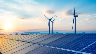 Fernando Trabach aponta exemplos de pequenas empresas que aumentaram a lucratividade ao investir em energia solar.