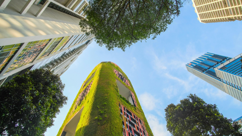 A sustentabilidade urbana nas cidades-modelo inspira novas práticas no setor imobiliário, segundo Alex Nabuco Dos Santos.